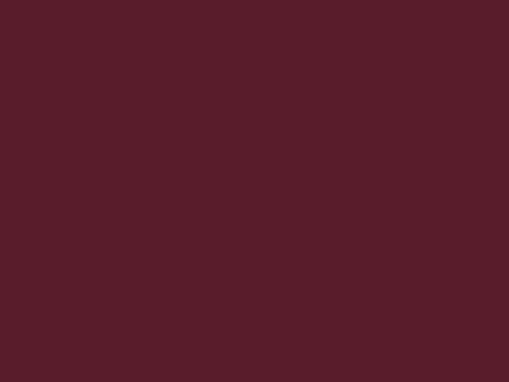 RAL 3005 (bordo)